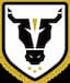 Bulls Academy (W)