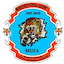 Medina United FC