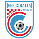 HNK Vukovar 91